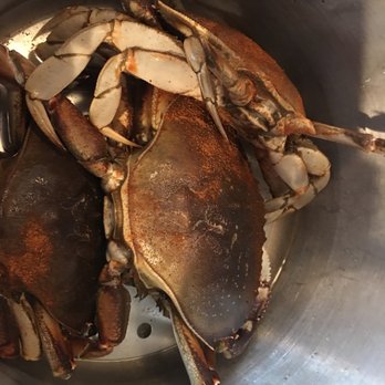 Newport Tradewinds - Total of 3 crabs for 2 people. - Boating Near Me - Newport, Oregon