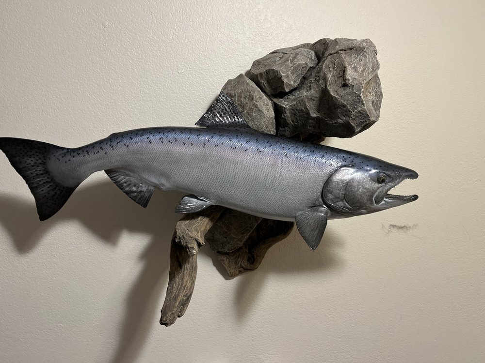 Rocky Mountain Bird Works Taxidermy - taxidermy in McMinnville, OR