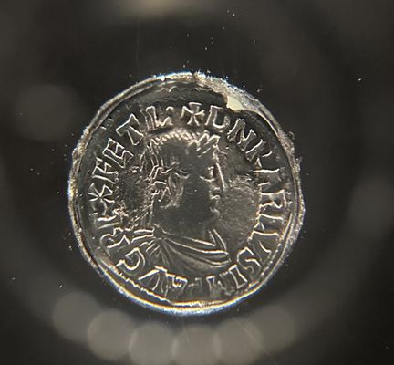 Neues Museum by null