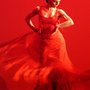 Photo of Flamenco Mariposa