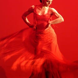 Flamenco Mariposa
