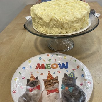 Meow Parlour - Cake - Animal Shelters Near Me - New York, New York Meow Parlour - Cake - Animal Shelters Near Me - New York, New York