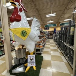Country Store - 3/24/25