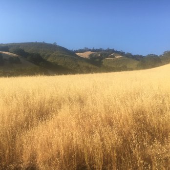 Mount Diablo State Park - Parks Near Me - Clayton, California Mount Diablo State Park - Parks Near Me - Clayton, California
