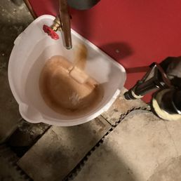 This is the water in the bucket right after it was dumped ten minutes ago. It's usually two of these buckets in ten hours