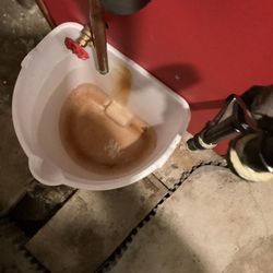 Adam Home Services - This is the water in the bucket right after it was dumped ten minutes ago. It's usually two of these buckets in ten hours