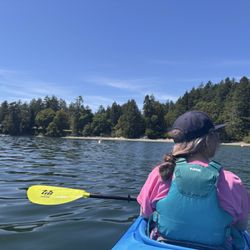Salt Spring Adventure