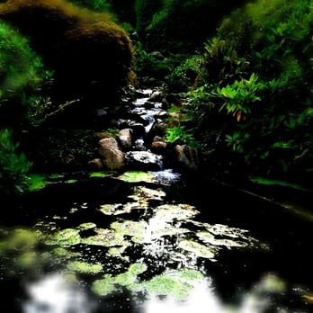 Kubota Garden - Stream - Botanical Gardens Near Me - Seattle, Washington Kubota Garden - Stream - Botanical Gardens Near Me - Seattle, Washington