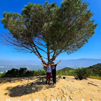Griffith Park - Burbank Peak/Wisdom Tree - Parks Near Me - Los Angeles, California