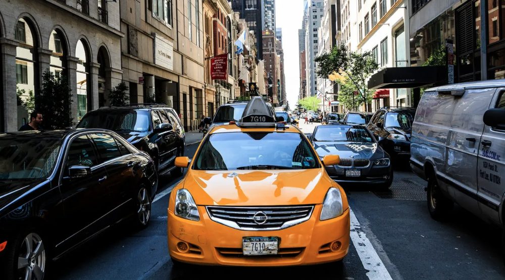 Taxi Economico - taxidermy in Sun Valley, CA