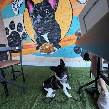 The Funky Frenchie - Breakfast & Brunch Near Me - Lemon Grove, California The Funky Frenchie - Breakfast & Brunch Near Me - Lemon Grove, California