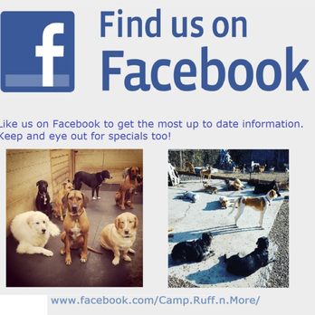 Camp Ruff-N-More - Like us on Facebook! - Pet Sitting Near Me - Johnson City, Tennessee