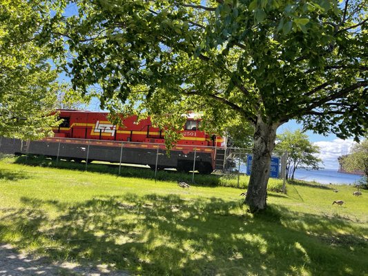 Presque Isle Park by null