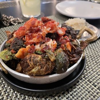 Olivia - Pizza Near Me - St. Petersburg, Florida Olivia - Pizza Near Me - St. Petersburg, Florida