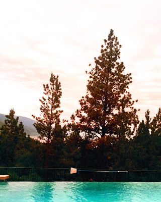 Mountain Lake Lodge by null