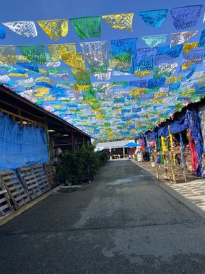 Azteca Farmers Market by null