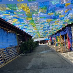 Azteca Farmers Market