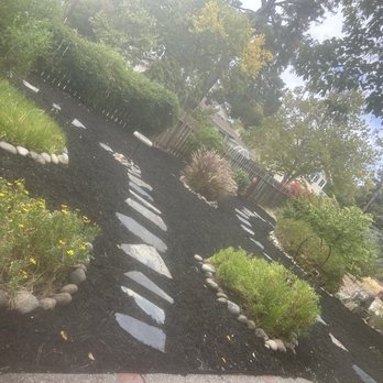 JE Landscaping and Junk Removal - Tree Services Near Me - Concord, California JE Landscaping and Junk Removal - Tree Services Near Me - Concord, California