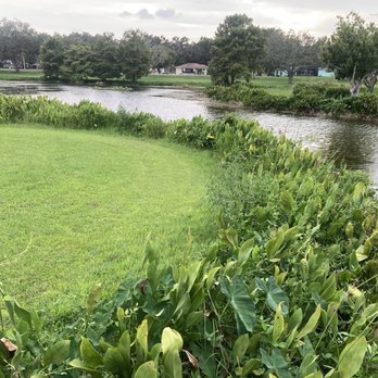 Venetian Gardens - Parks Near Me - Leesburg, Florida