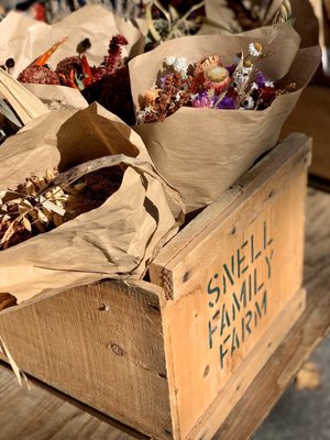 Portland Farmers' Market by null