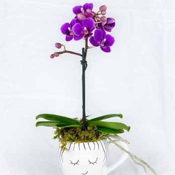Roo flowers by janeth - Flowers & Gifts Near Me - Miami, Florida Roo flowers by janeth - Flowers & Gifts Near Me - Miami, Florida