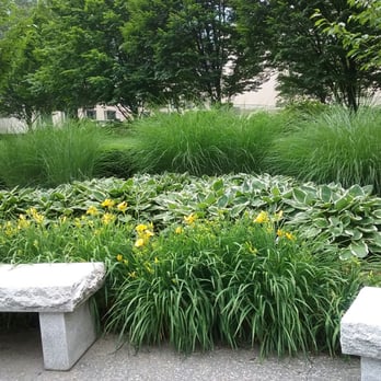 BNY Mellon Green - Lush lilies, hostas, and ornamental grass. - Parks Near Me - Pittsburgh, Pennsylvania BNY Mellon Green - Lush lilies, hostas, and ornamental grass. - Parks Near Me - Pittsburgh, Pennsylvania