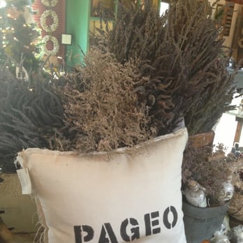 Pageo Lavender Farm - Venues & Event Spaces Near Me - Turlock, California Pageo Lavender Farm - Venues & Event Spaces Near Me - Turlock, California