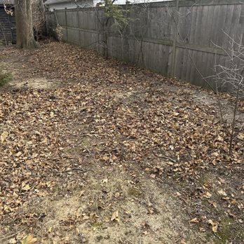 Arborgreen Tree Service - Removed an unhealthy tree from here and ground down the stump. - Tree Services Near Me - Evanston, Illinois