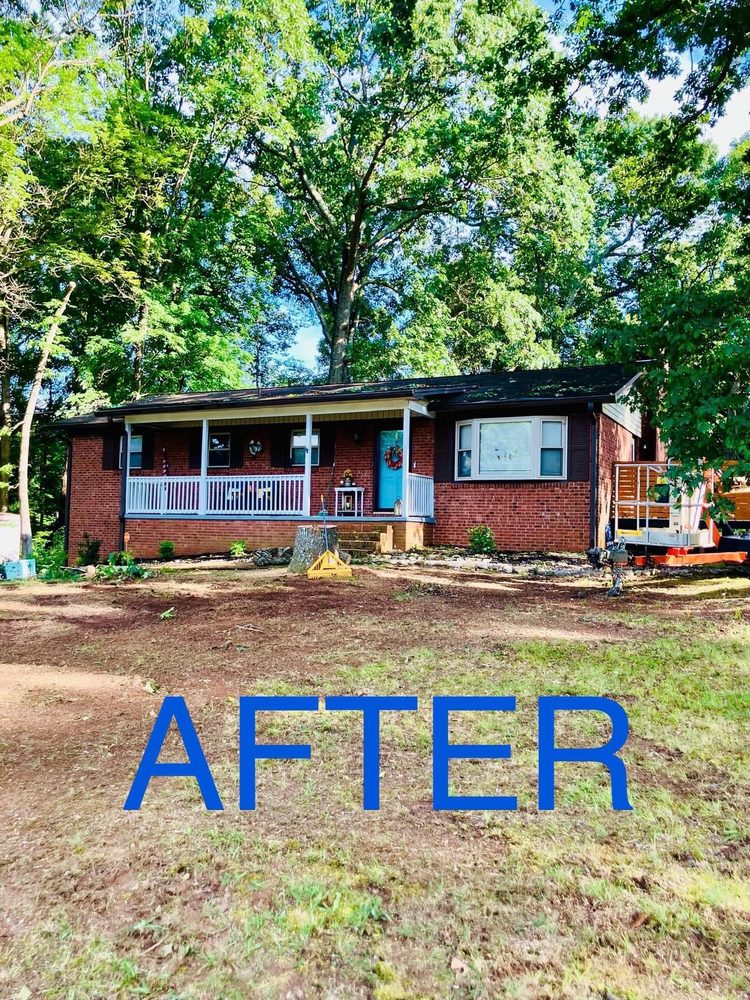 Davis Tree Surgeons - tree service in Winston Salem, NC