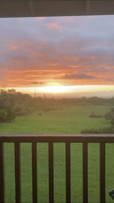 Puna Rainforest Retreat: Hot springs and steam vents by null