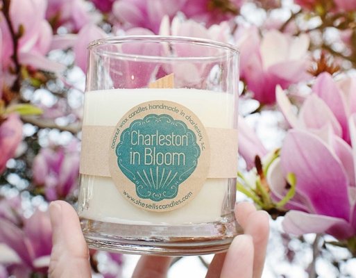 Charleston Farmers Market by null