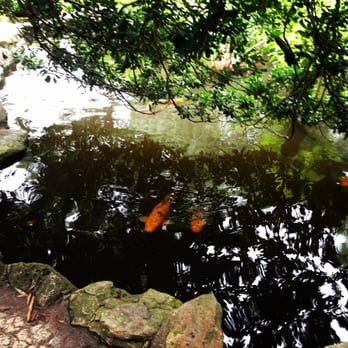 Zilker Botanical Gardens - Koi fish! - Botanical Gardens Near Me - Austin, Texas Zilker Botanical Gardens - Koi fish! - Botanical Gardens Near Me - Austin, Texas
