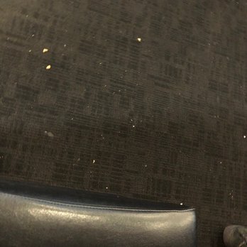 Buffalo Wild Wings - Fries, bread and who knows what else is on the floor. - Chicken Wings Near Me - Hemet, California Buffalo Wild Wings - Fries, bread and who knows what else is on the floor. - Chicken Wings Near Me - Hemet, California