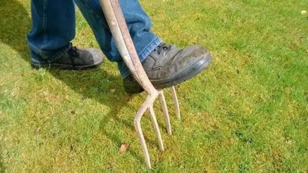 Slide of Nature Plus Lawn & Irragation