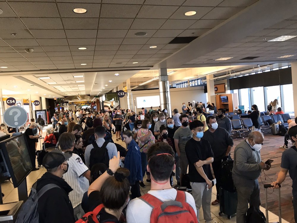 WESTJET Updated September 2024 44 Photos & 243 Reviews 2000