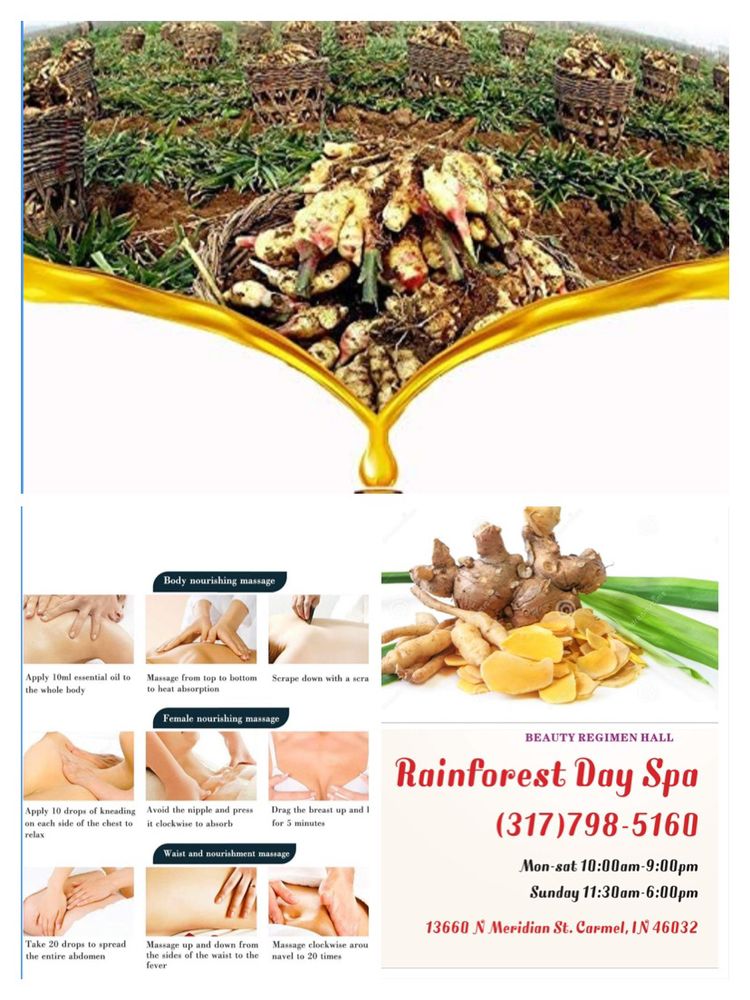 The Rainforest Day Spa