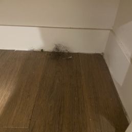 Gross someone's hair balls scattered thru unit Gross someone's hair balls scattered thru unit