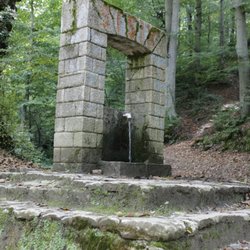 Belgrad Ormanı