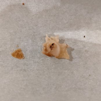 What Da Pho - Unedible cartilage/bone - Vietnamese Near Me - San Angelo, Texas
