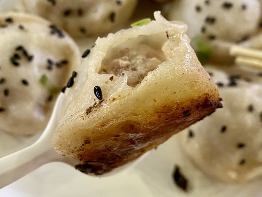 PanBao66 六六生煎王 by null