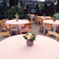 Sun River Gardens - A wedding reception in our green house