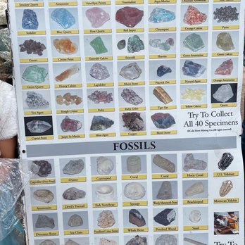 Julian Mining Company - These are the Jems or fossils you can find! - Kids Activities Near Me - Julian, California Julian Mining Company - These are the Jems or fossils you can find! - Kids Activities Near Me - Julian, California