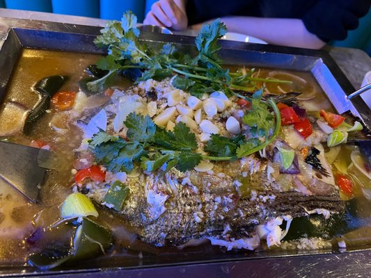 Hot Space Brooklyn by null