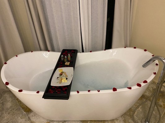 TRS Yucatan Hotel - Only Adults by null