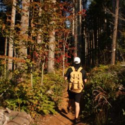 Capitol State Forest
