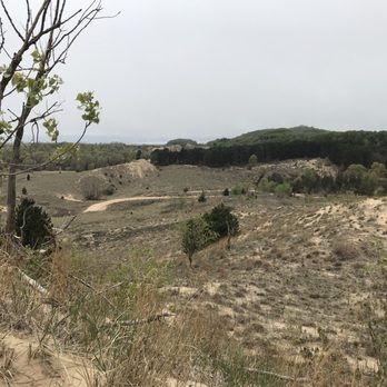 Saugatuck Dune Rides - Tours Near Me - Saugatuck, Michigan Saugatuck Dune Rides - Tours Near Me - Saugatuck, Michigan