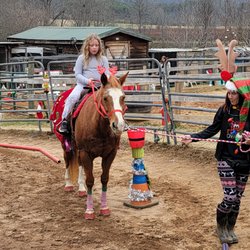 Horsing Around The Barn