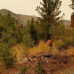 Reversed Creek Campground