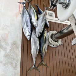 Imua Fishing Charters