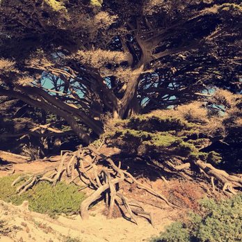 Pfeiffer Beach - Beaches Near Me - Big Sur, California Pfeiffer Beach - Beaches Near Me - Big Sur, California